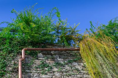 Eco-Friendly Options